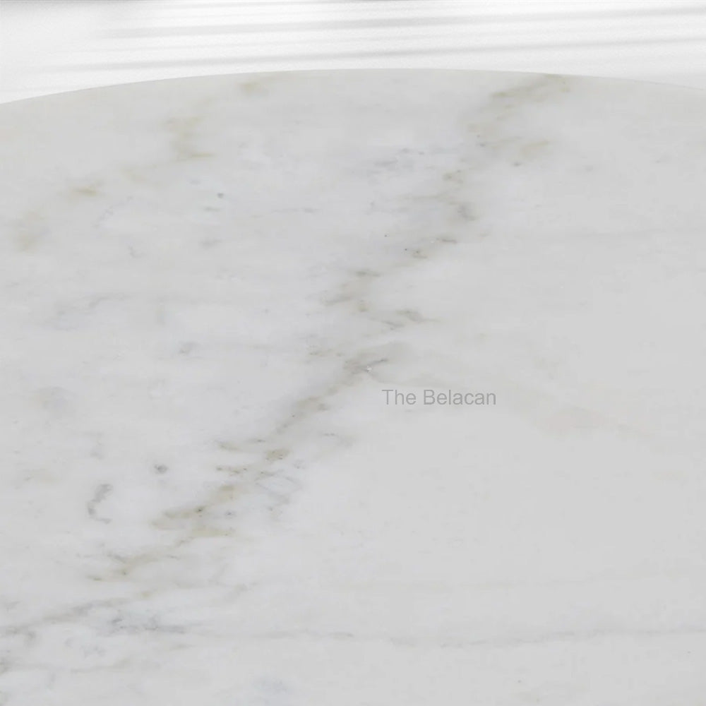 Baleno Marble and Brass Coffee Table - thebelacan