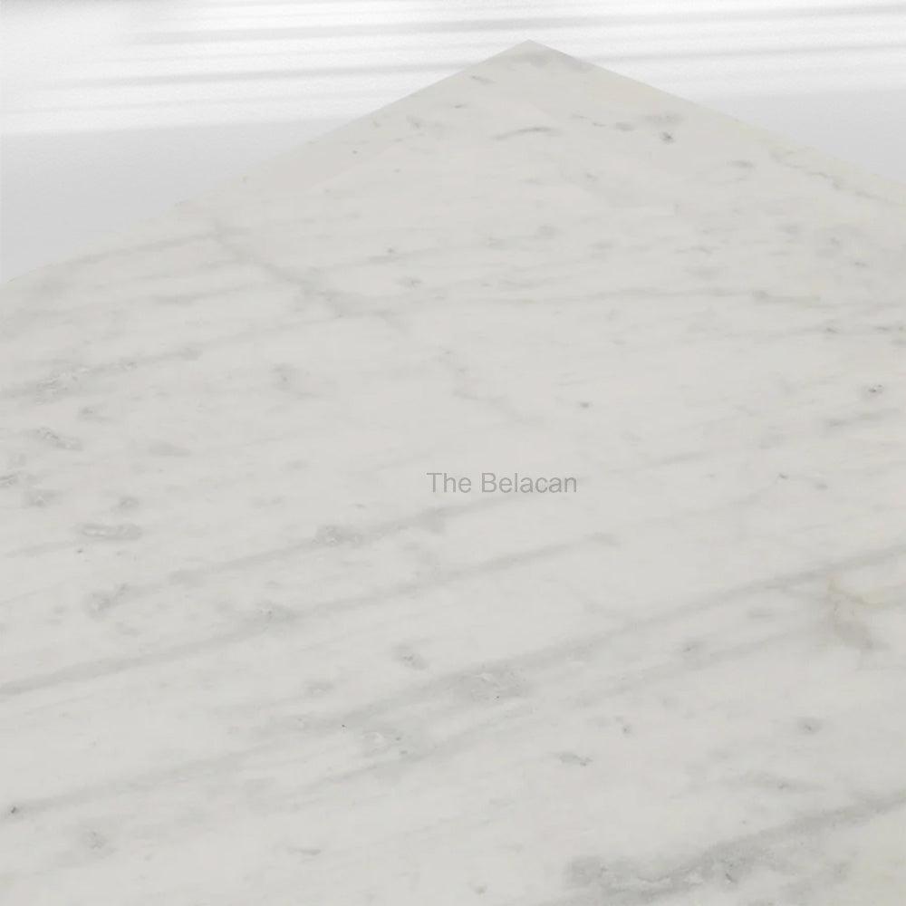 NomVerve Marble Coffee Table - thebelacan