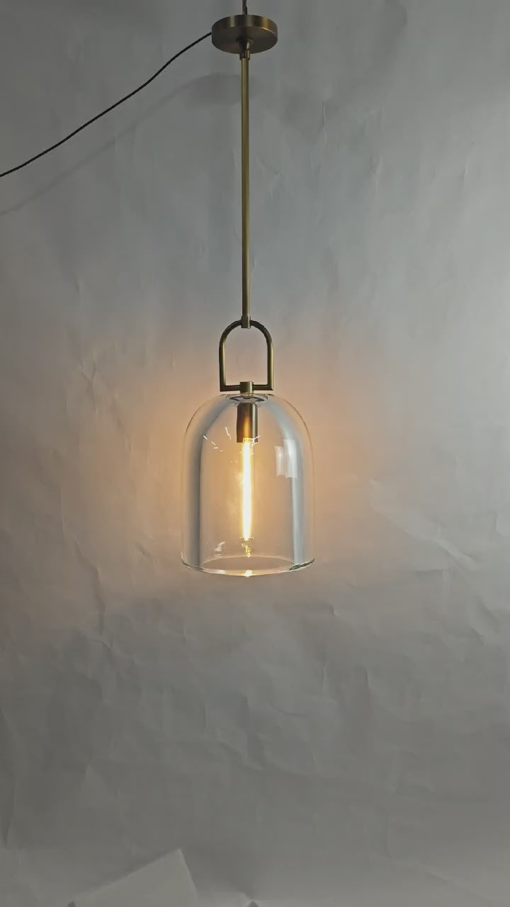 Load video: Botany Cloche Pendant - thebelacan