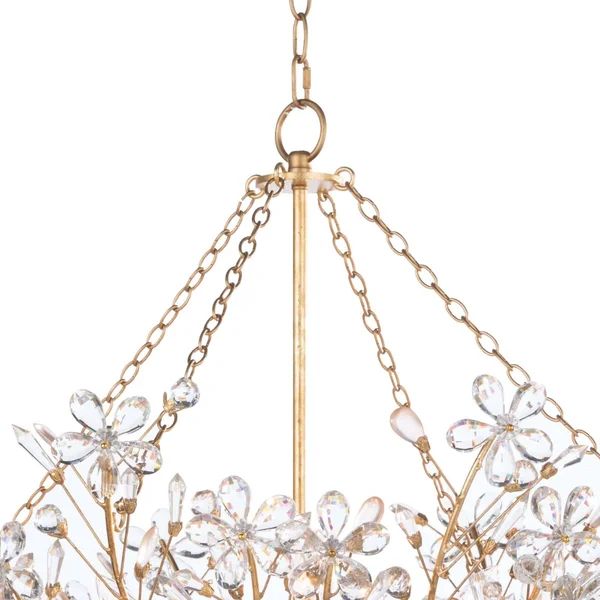 Cherish 6 Lights Round Chandelier - thebelacan