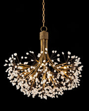 Full Star 9 Lights Chandelier - thebelacan